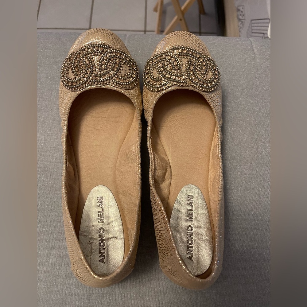Antonio Melani Petra ballet flats EUC